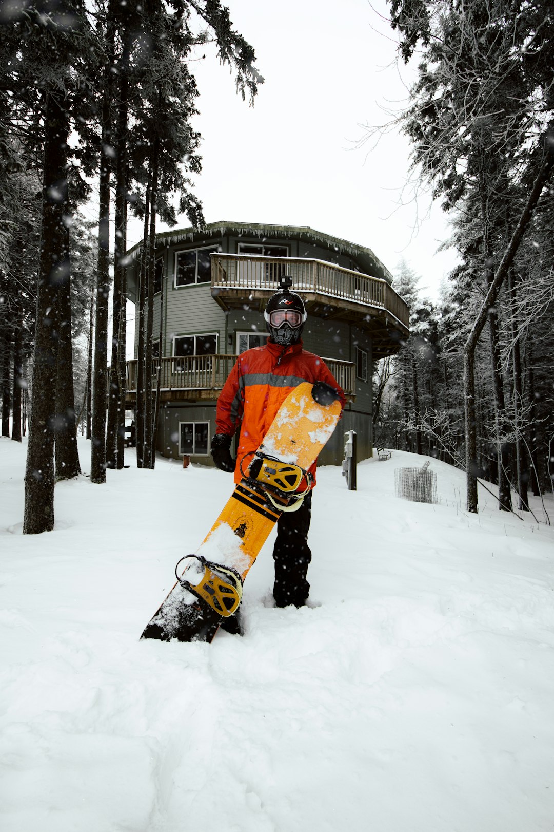 Snowshoe in winter conditions